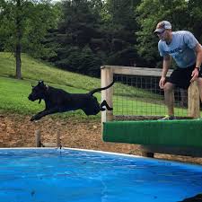 Catawba Valley Obedience Club, Hickory, NC